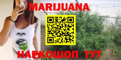 индика Апрелевка