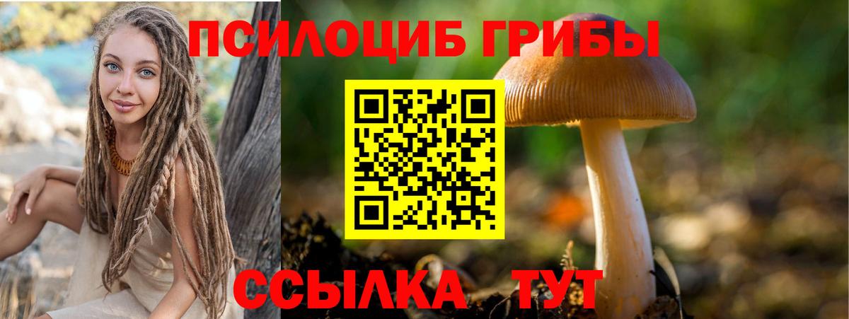 Галлюциногенные грибы Magic Shrooms Артёмовский